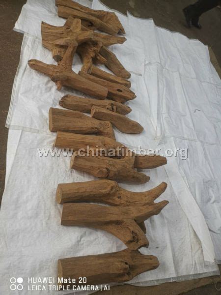 印度老山檀香--板材原木_产品图片信息_中国木材网！