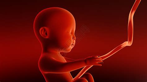 新生儿孕育场景图片素材-正版创意图片401866524-摄图网