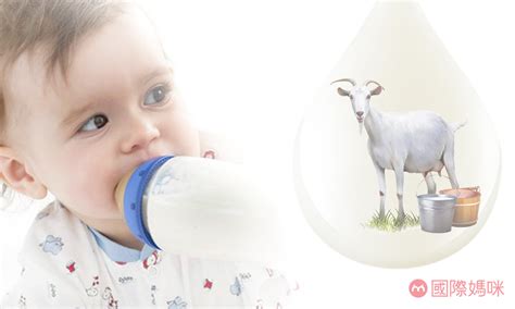 2022羊奶粉十大品牌排行榜-羊奶粉哪个牌子好-排行榜123网