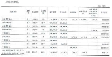 武汉城投2022年负债2568亿元，净亏损1.2亿元｜债券年报_【快资讯】