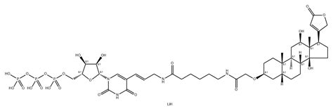 186033-10-3_Digoxigenin-11-UTPCAS号:186033-10-3_Digoxigenin-11-UTP【结构式 ...