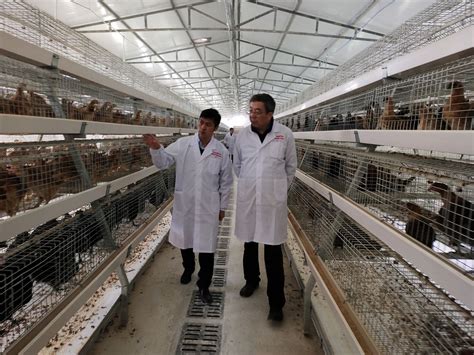 肉鸡行业成立首家国际性研究院！圣农要将科技立企进行到底！__财经头条