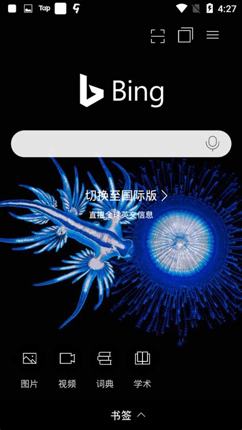 必应国际版入口_Bing国际版搜索引擎入口 - 系统之家