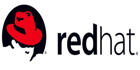 安装redhat 8.0红帽系统的方法 - 开发技术 - 亿速云