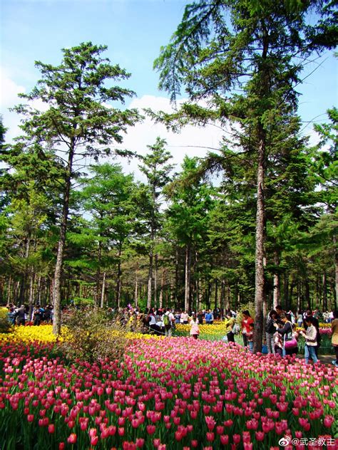 2020黑龙江省森林植物园-旅游攻略-门票-地址-问答-游记点评，哈尔滨旅游旅游景点推荐-去哪儿攻略
