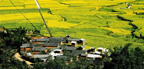 2021-2025年中国乡村旅游行业分析及行业发展趋势研究预测报告-行业报告-弘博报告网