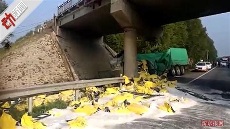 上海内环高架发生一起两车事故，冷链车撞毁道路中间护栏_凤凰网视频_凤凰网