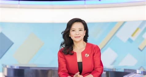 媒体：CGTN澳籍华裔主播成蕾以涉嫌向海外提供国家机密罪被正式批捕 - 俄罗斯卫星通讯社