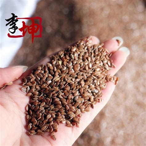 胡麻籽图片