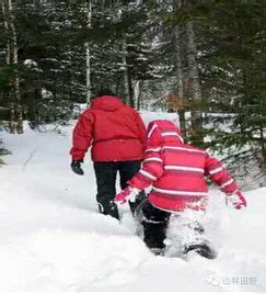 情侣在雪地荒野求生，动手制作雪屋过夜，大开眼界_凤凰网视频_凤凰网