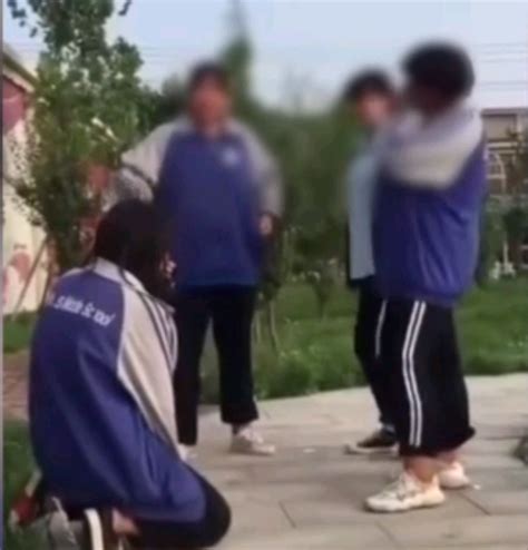 石家庄某中学女生遭受校园霸凌 被拳打脚踢还逼迫下跪__凤凰网