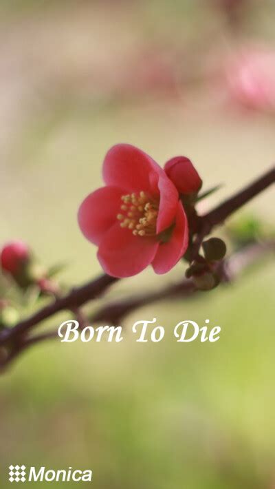 THEXX.(GIF动态图_[标签:标题1]