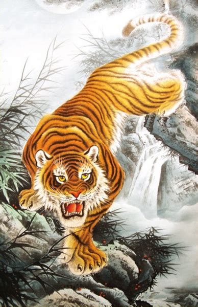 上山虎图片