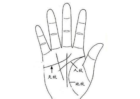 手相入门基础（1）认识三纹五线及其作用
