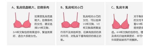 2015新款性感蕾丝抹胸内衣胸罩 聚拢调整型品牌内衣文胸厂家批发 - iWebShop开源商城