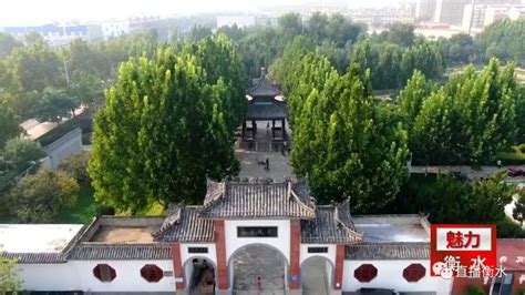 “美翻了，我的村”第三季：宜居宜业宜养宜游的岭南村落---中国文明网