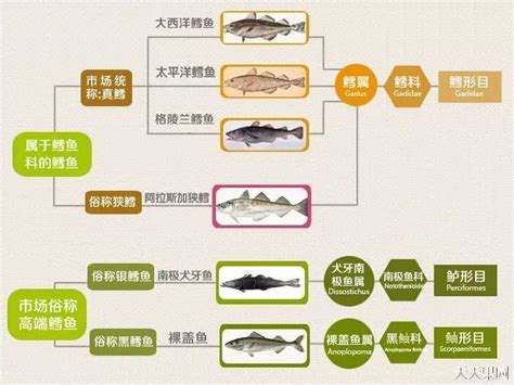 养殖三文鱼是世界上最毒的食物？真相是...-春雨医生