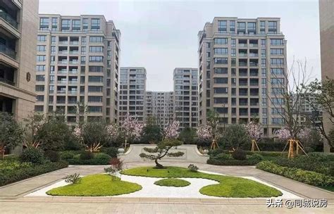 上海浦东新区房价多少钱一平米 在上海浦东新区买房的条件|限购|住房|买房_新浪新闻