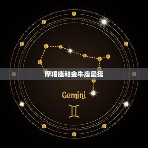 和摩羯最匹配的是什么星座(摩羯和其他星座匹配程度)