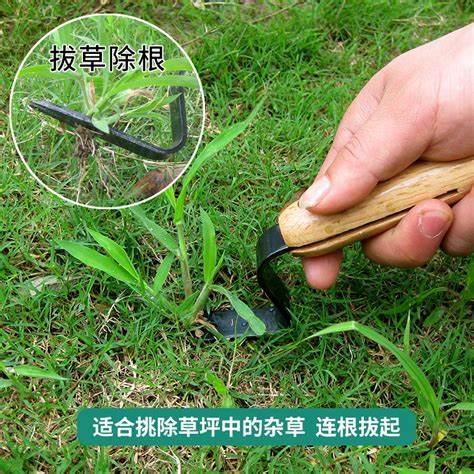 草坪除杂草专用除草剂