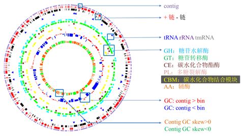 中国科大在基因转录调控研究中取得突破性进展-中国科大新闻网