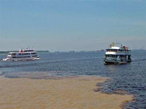 传说中的巴西亚马逊河“黑白两道”, 你见过吗?|黄河|两道|亚马逊河_新浪新闻
