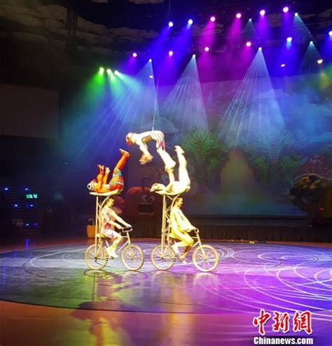 杂技表演,马戏团演出哪里好_吴桥县观道创意文化杂技团