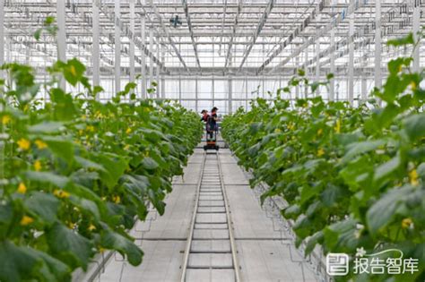 未来农业爆破点：植物工厂、智慧农业、功能食品 （收藏+转发）|粮食|植物|工厂_新浪新闻