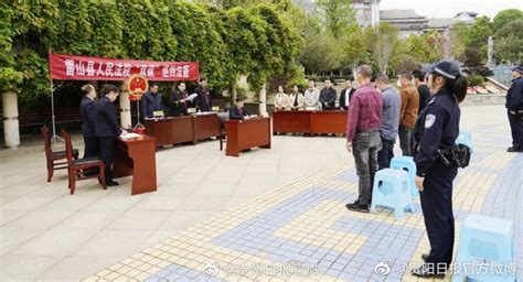 11人盗割贵州2600岁楠木树获刑|贵州省|犯罪_新浪新闻