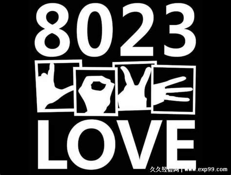 8023数字代表的爱情含义-塔罗-火土易学