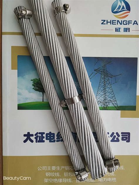 钢芯铝绞线 - 春光线缆有限公司