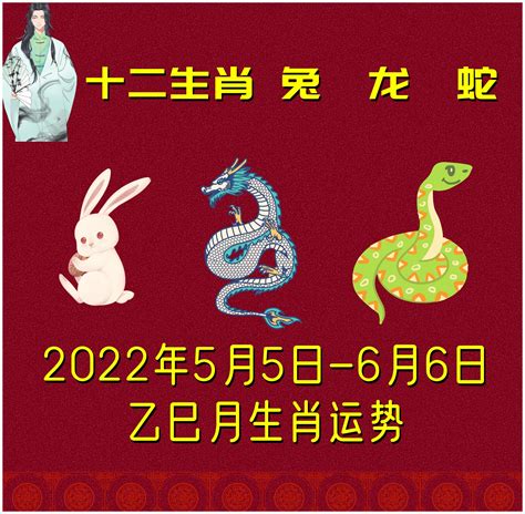 2022年5月5日——6月6日生肖兔、龙、蛇月运势|月份|运势|变星_新浪新闻