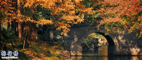 上海秋景最美的地方有哪些_旅泊网