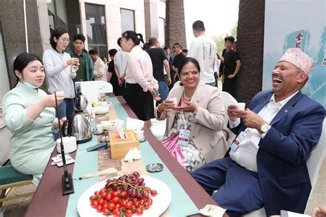 南平举办茶文化茶产业国际交流合作研讨会
