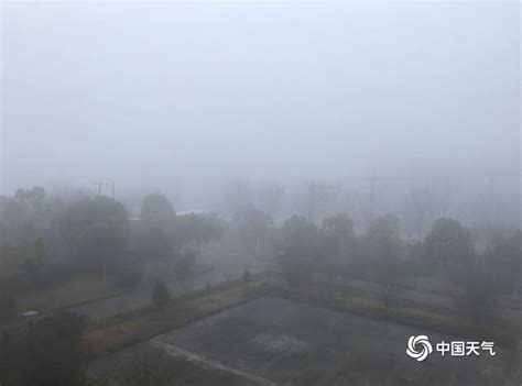 局部大雨到暴雨，桂林最高气温升到28℃？！-桂林生活网新闻中心