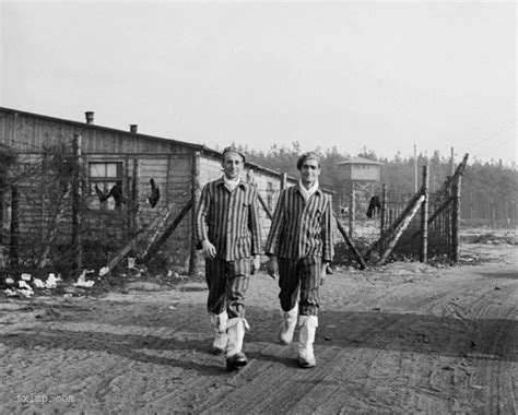 二战时，德国集中营的女人被这样对待，惨不忍睹|集中营|德国|战俘_新浪新闻