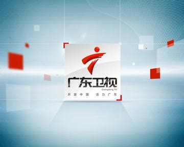 2020年广东卫视广告刊例价格表（白天）-北京中视志合文化传媒有限公司