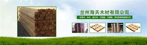 木材进口公司网站模板_站长素材
