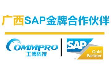 广西南宁SAP代理商 广西ERP公司 广西SAP公司 SAP服务商,广西南宁SAP代理商 广西ERP公司 广西SAP公司 SAP服务商价格 ...