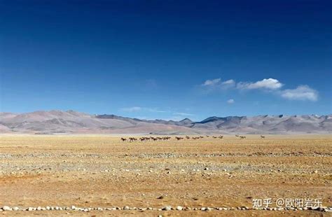 西藏日喀则珠峰文化旅游节-日喀则旅游攻略-游记-去哪儿攻略