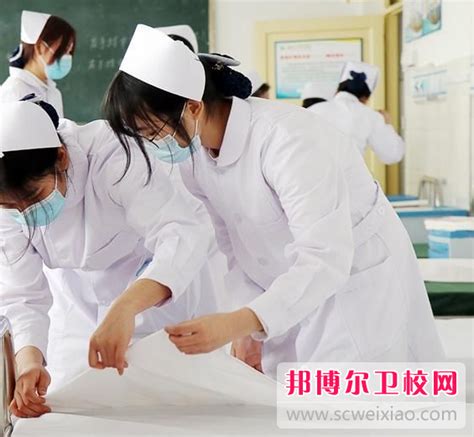河南省卫生学校的护理专业招生如何(2023参考)_邦博尔卫校网