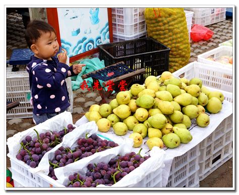 感受贵阳城区特色赶集—紫林庵交易市场-贵州旅游在线