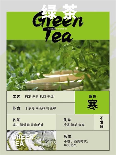 绿茶介绍