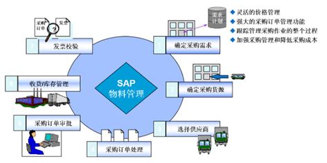 系统实施 > SAP实施服务