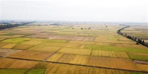 江西省明年建设高标准农田290万亩 全过程监管_手机新浪网
