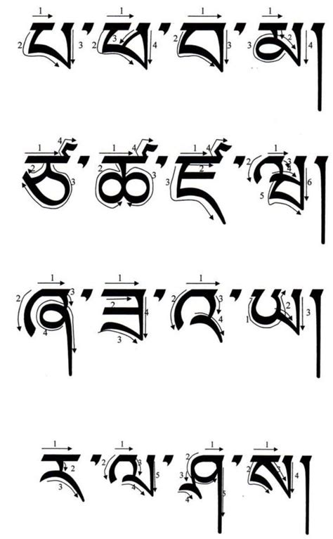 藏文字母标音和笔顺 藏地阳光新闻网