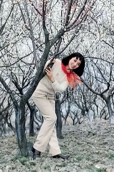 《大桥下面》中的女主角秦楠(龚雪饰)图片