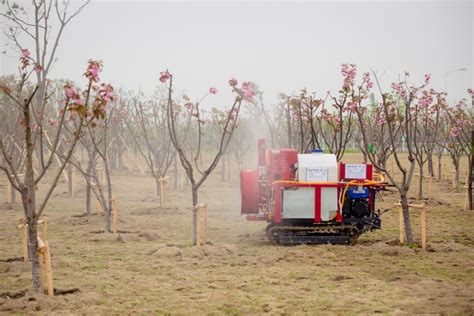 中外水平差距较大，我国果园机械如何助力果树省力化栽培？ | 农机新闻网