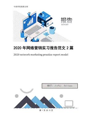 2020年网络营销实习报告范文2篇
