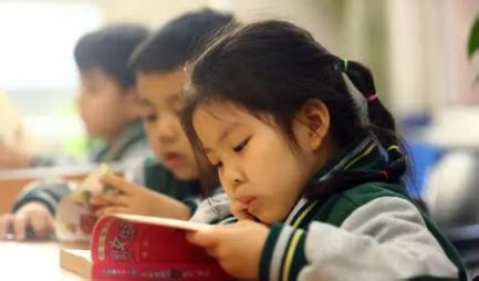 北京小学生转学到私立小学需要什么手续流程？一文了解转学流程！-育路私立学校招生网